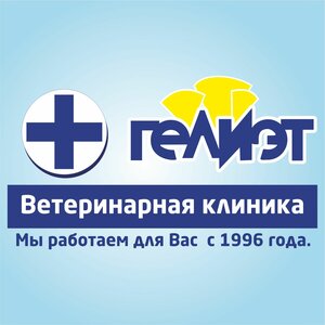 Логотип Гелиэт