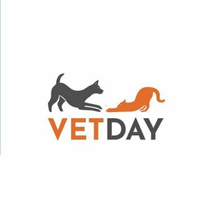 Логотип «VetDay»