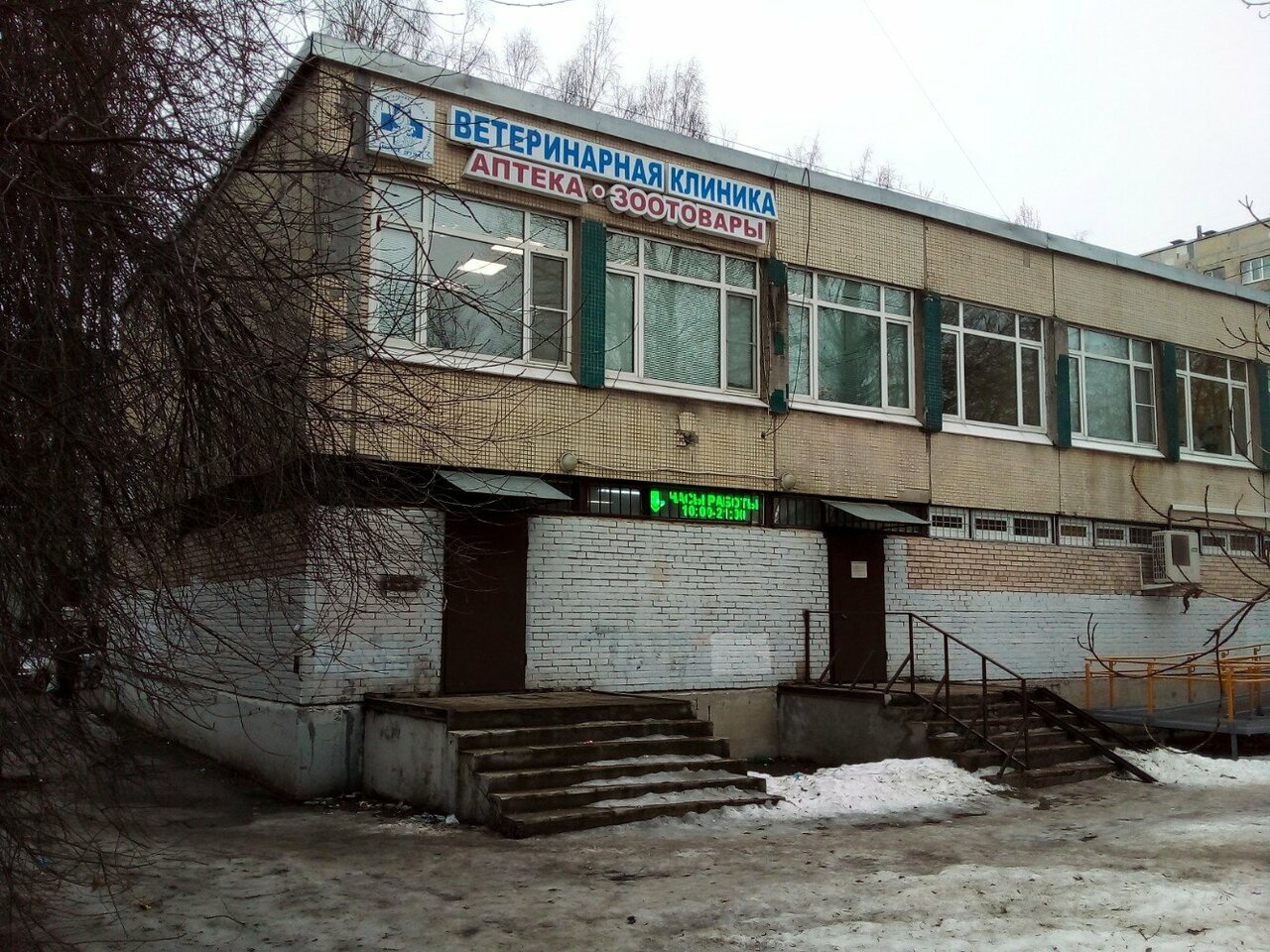 Верные друзья