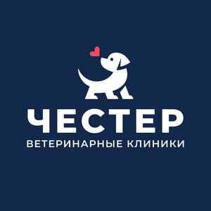 Логотип Честер