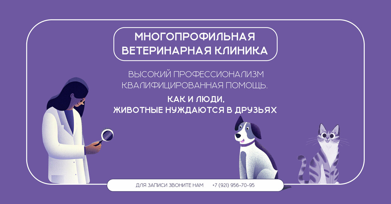АдельВет