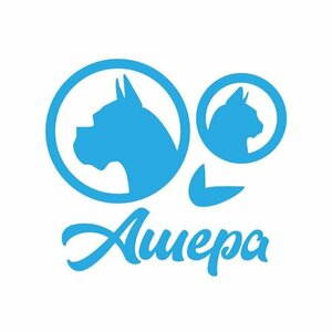Логотип Ашера