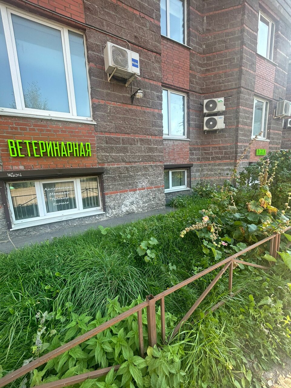 Здоровые лапки — фото 3