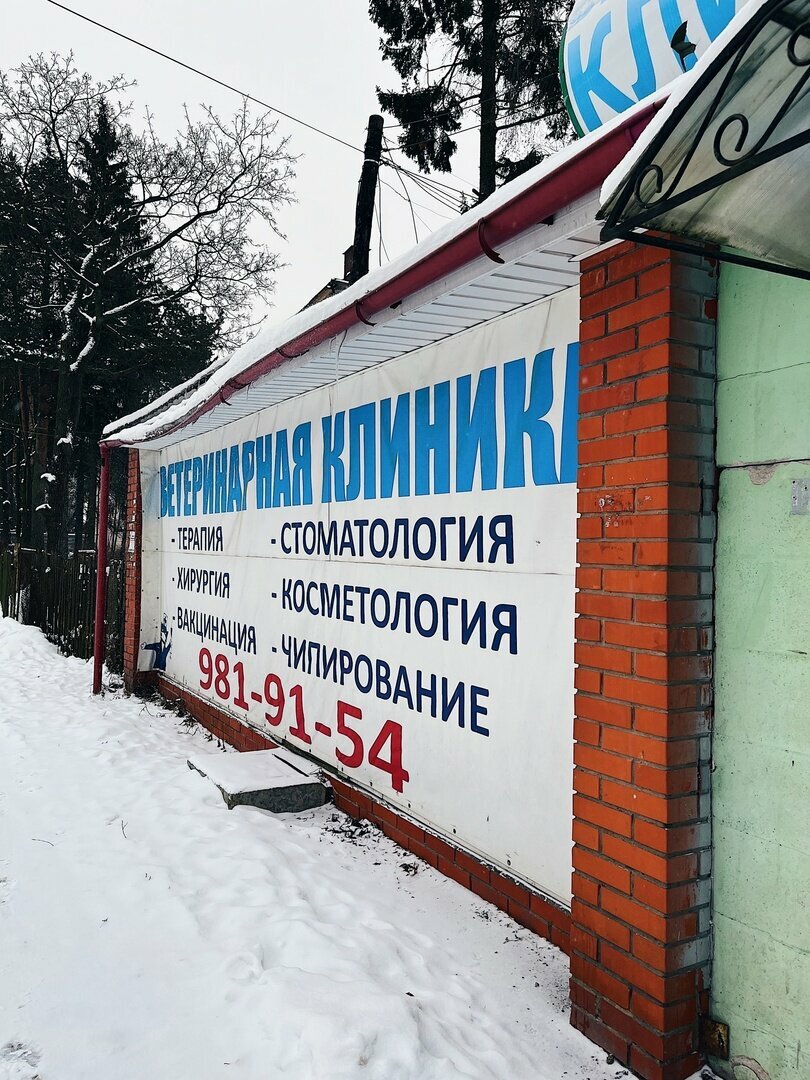ПарголовоВет