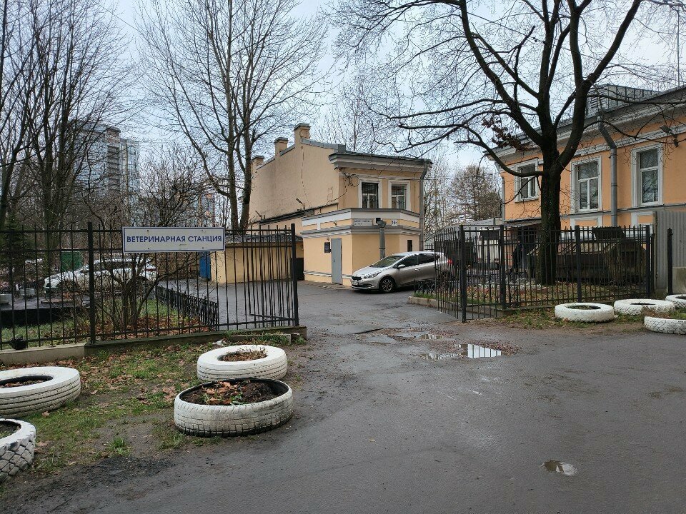 Ветеринарная станция Выборгского района — фото 3