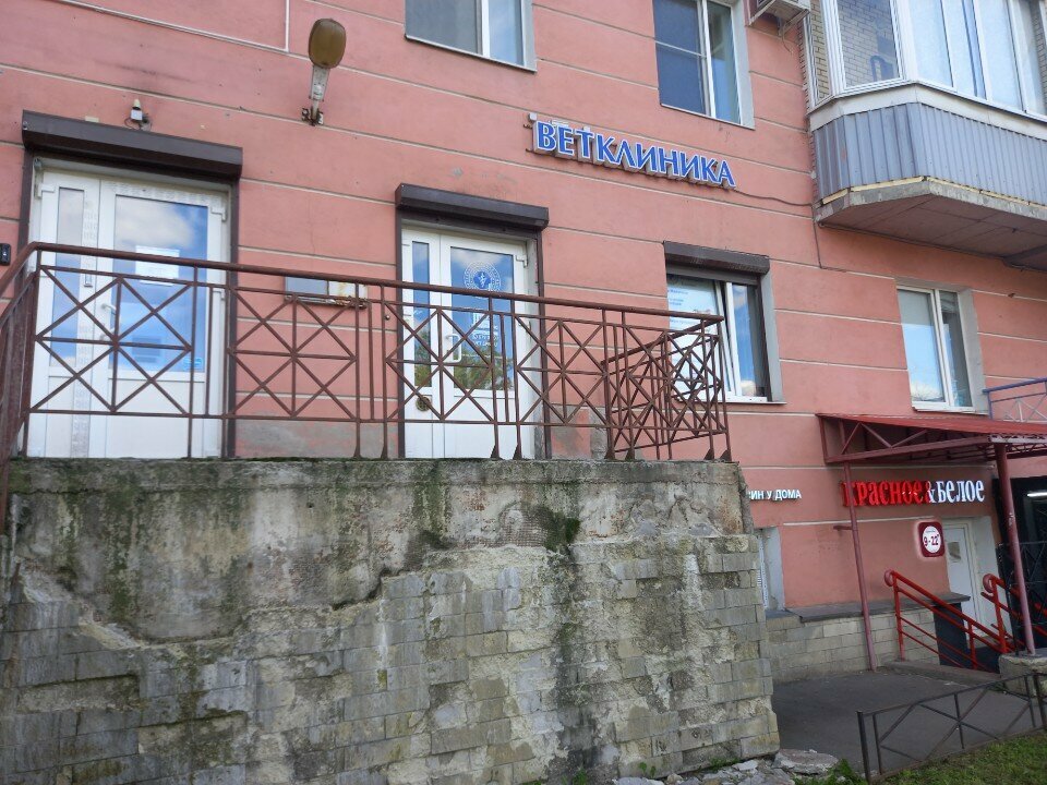 Городская ветеринарная клиника