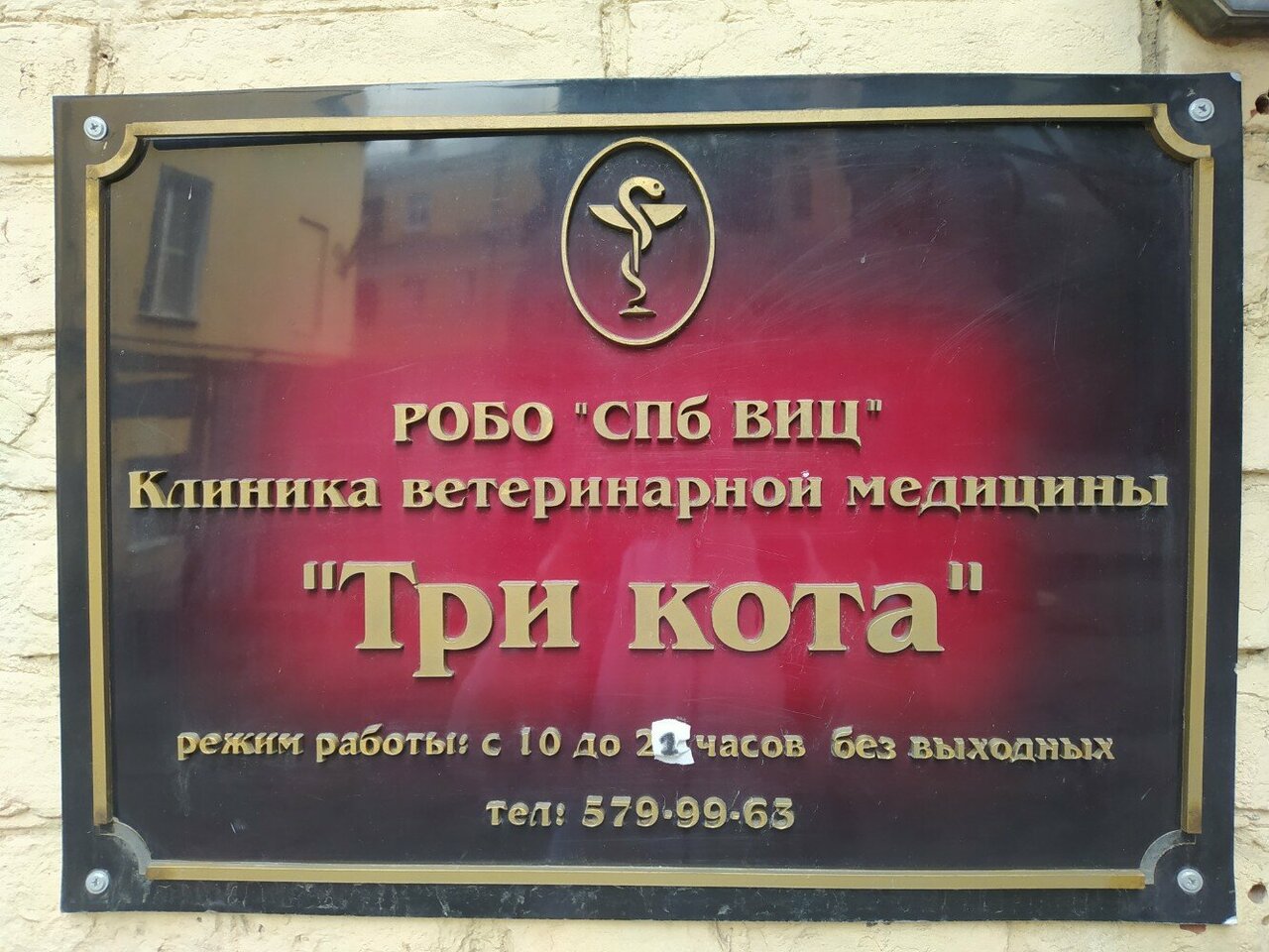 Три кота — фото 2