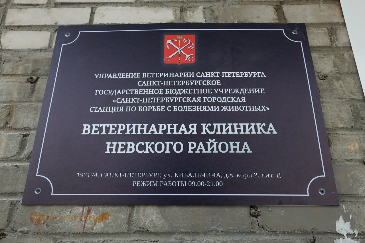Санкт-Петербургская горветстанция (Невский район) — фото 3