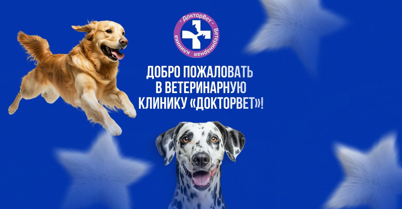 ДокторВет