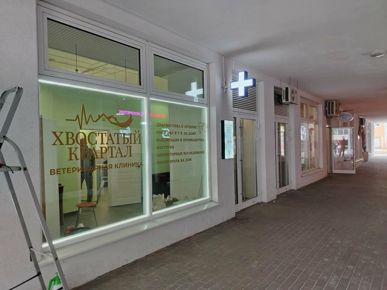 Хвостатый квартал