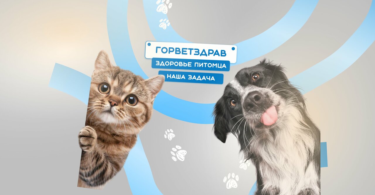 ГорВетЗдрав