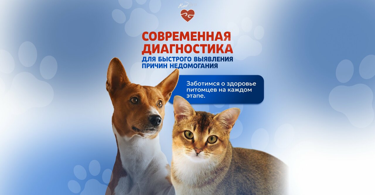 РедВет