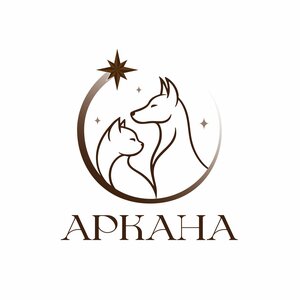 Логотип «Аркана»
