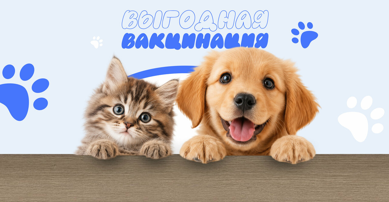 Лаки