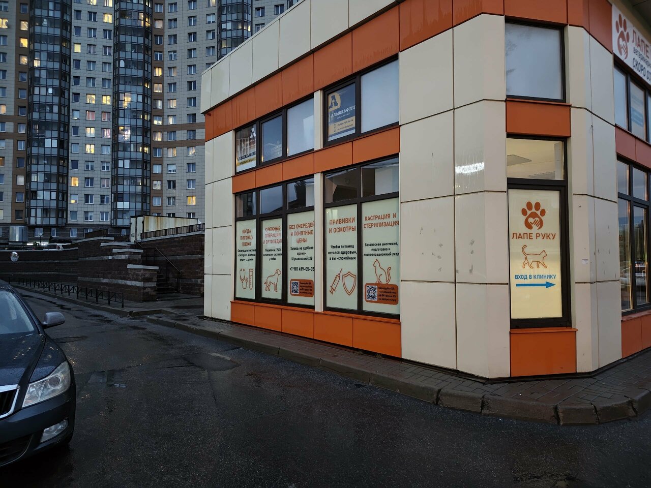 Лапе руку