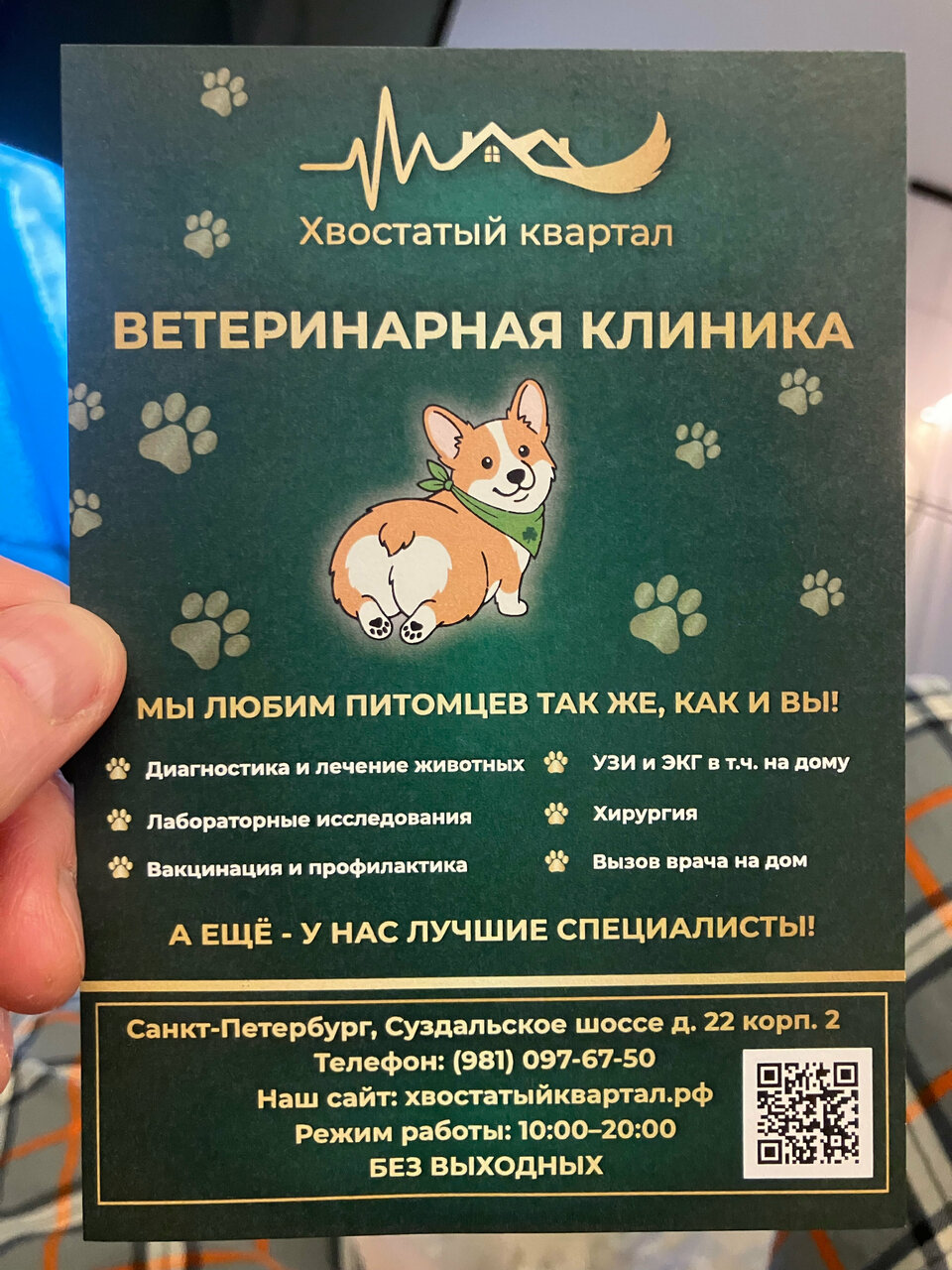 Хвостатый квартал — фото 2