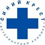 Логотип Синий крест