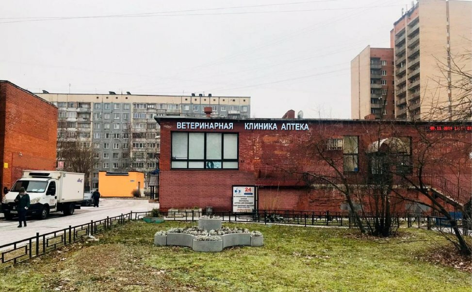 Верные друзья