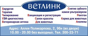 Логотип Ветлинк