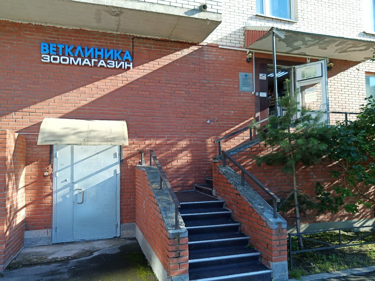 Молли