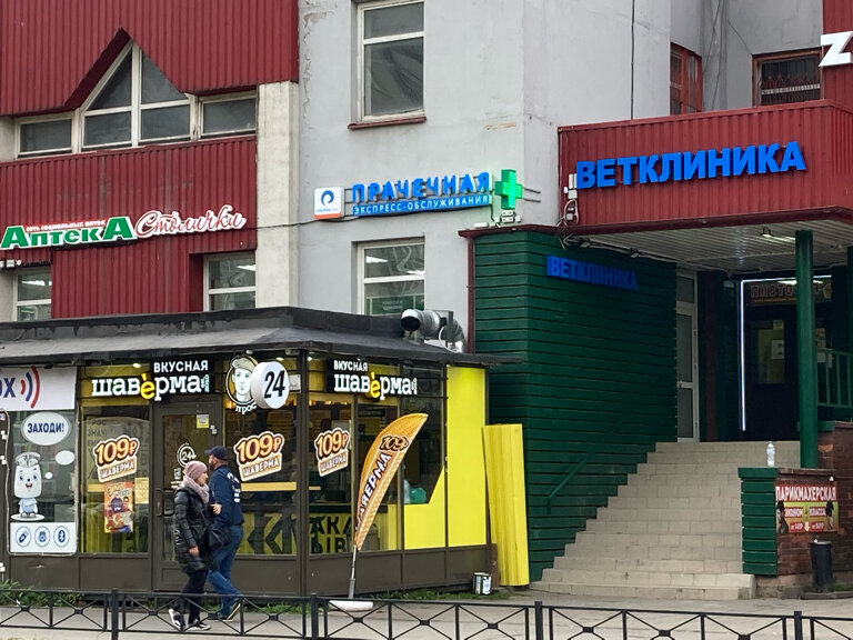 АртисВет