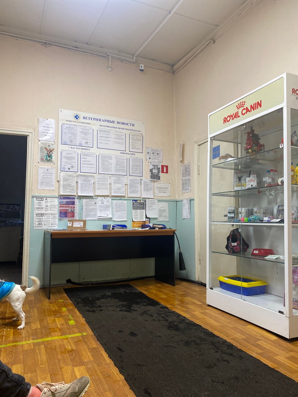 Парголовская ветеринарная лечебница — фото 3