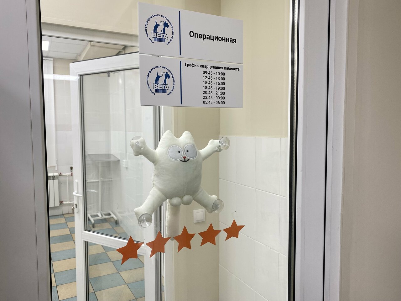 Вега — фото 3