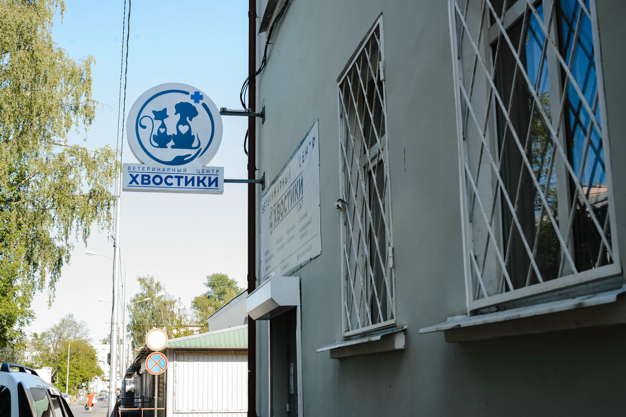 Хвостики