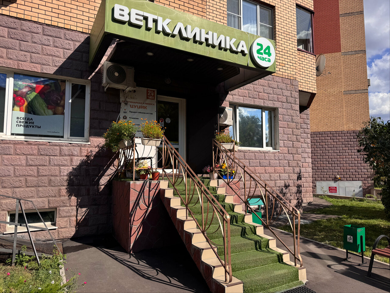 Цуцик