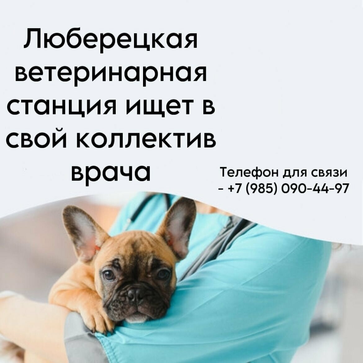 ТВУ № 5, Люберецкая ветеринарная станция — фото 3