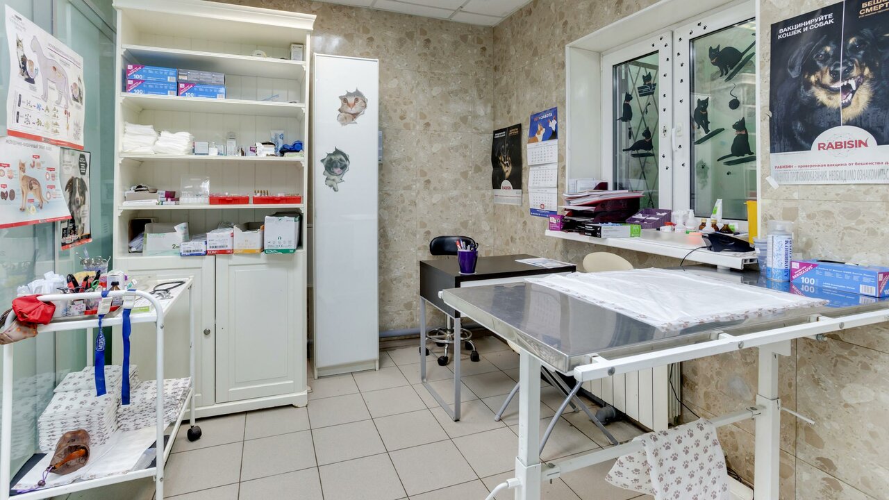Гарфилд — фото 3