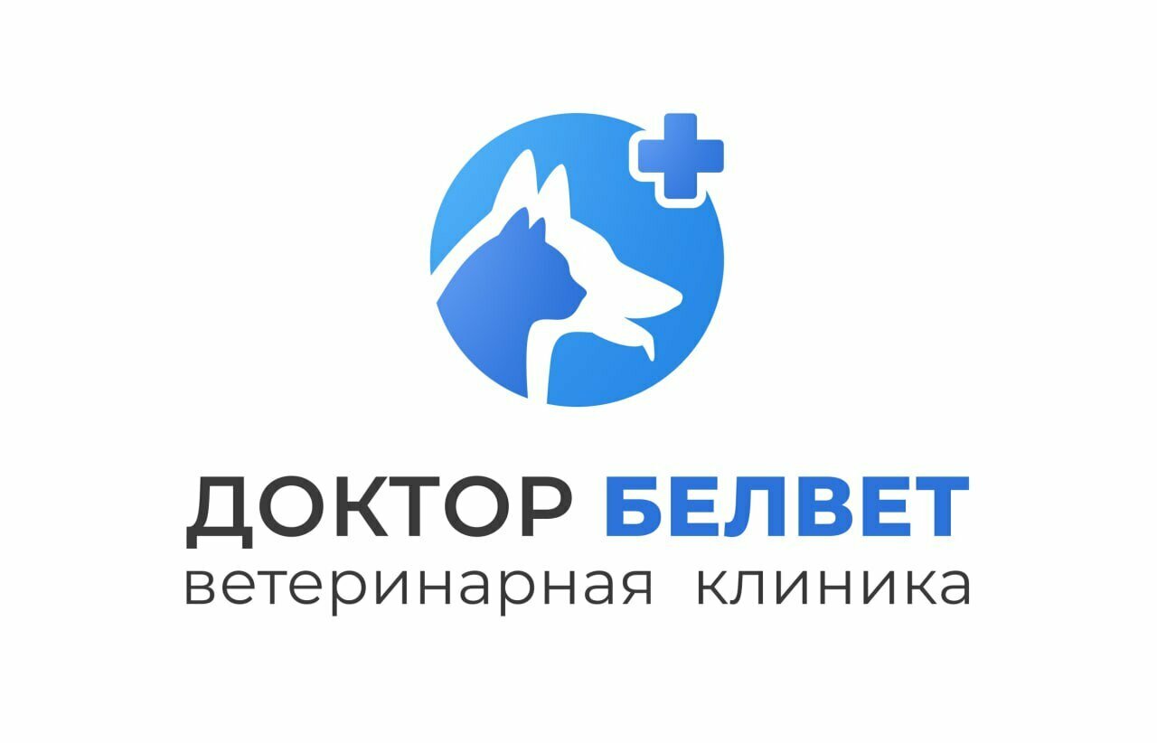 Доктор БелВет — фото 3