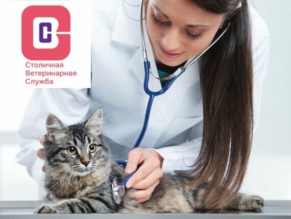 Столичная Ветеринарная Служба
