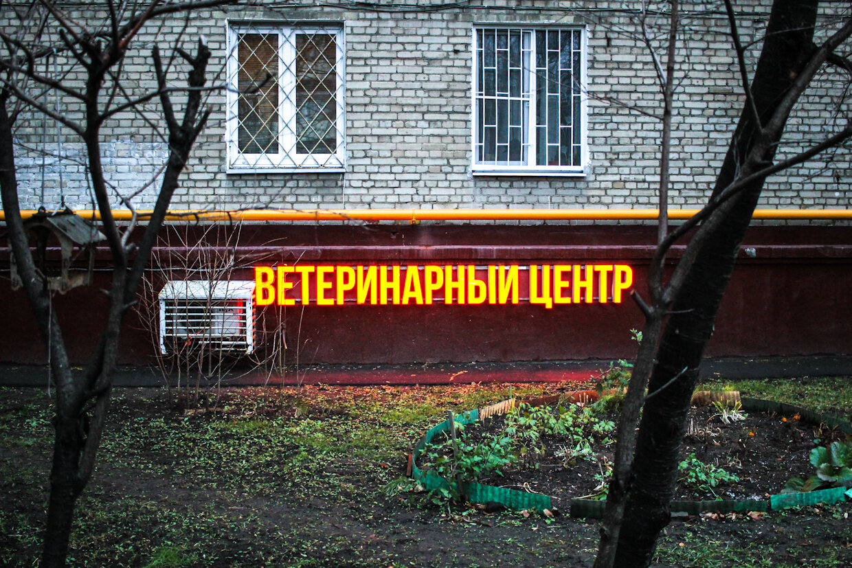 Апогей
