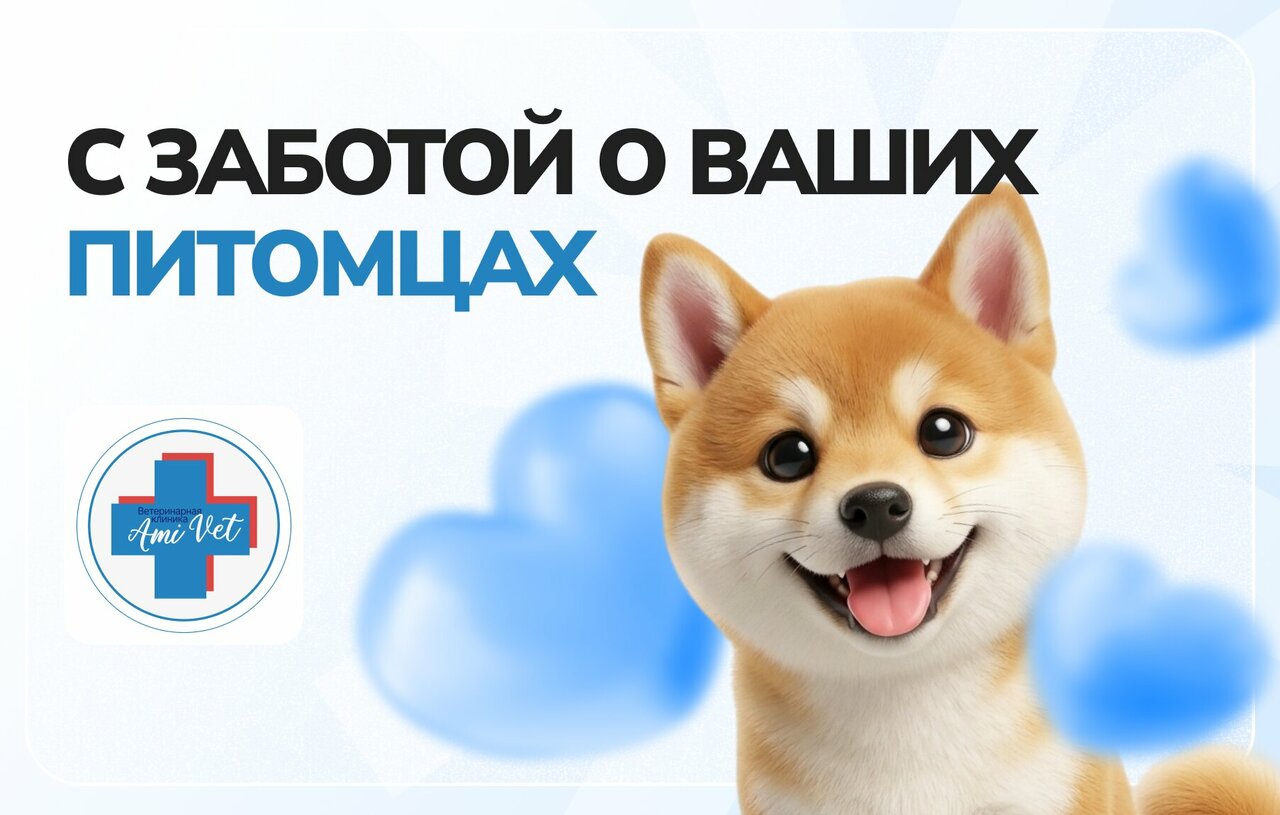 АмиВет