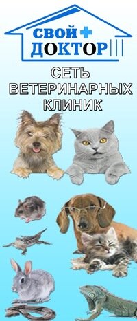 Свой доктор — фото 2