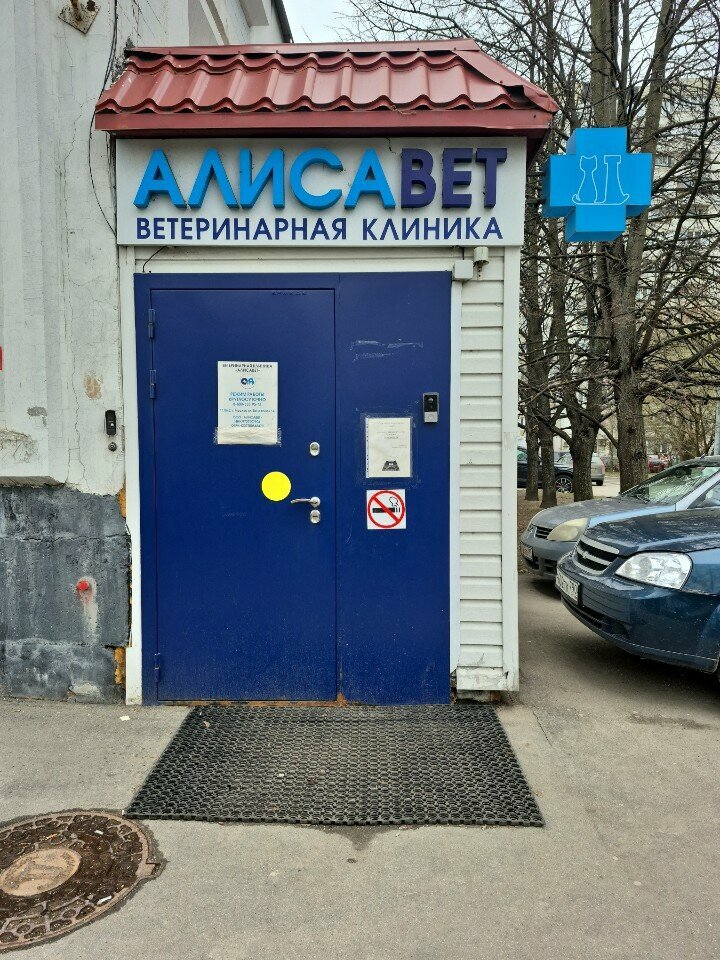 Алисавет