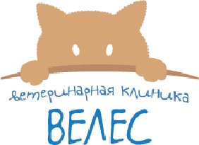 Логотип «Велес»