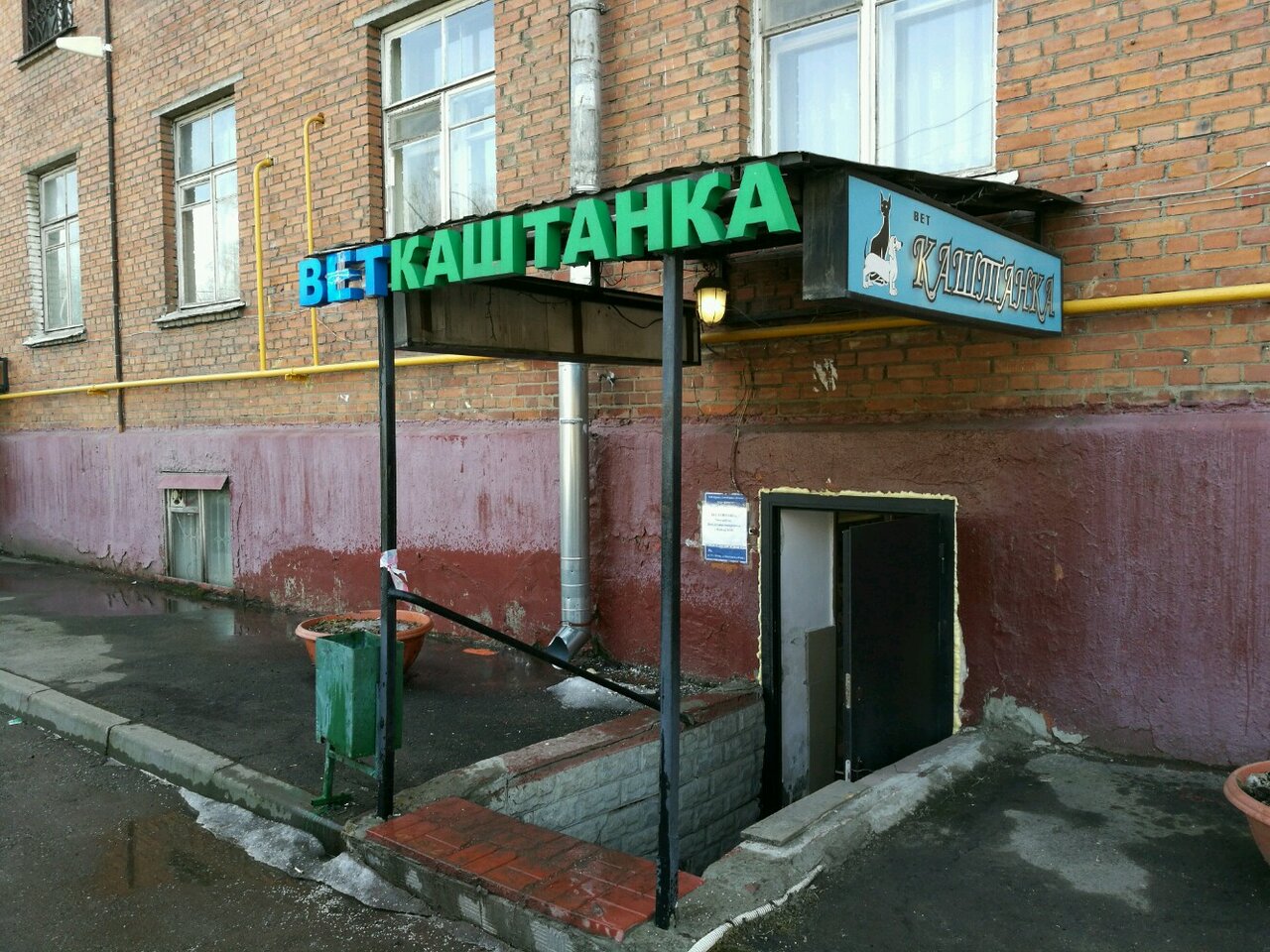 Каштанка
