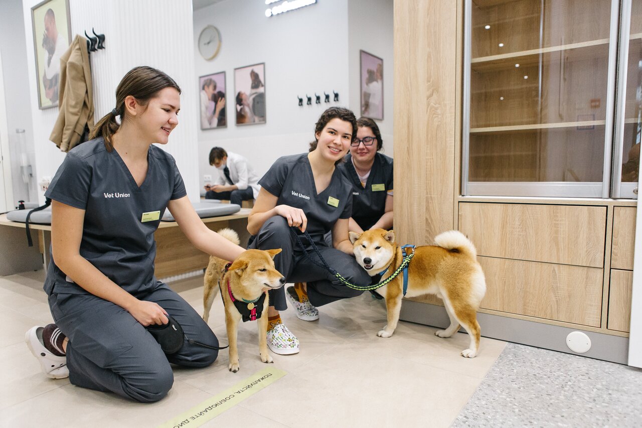 Vet Union