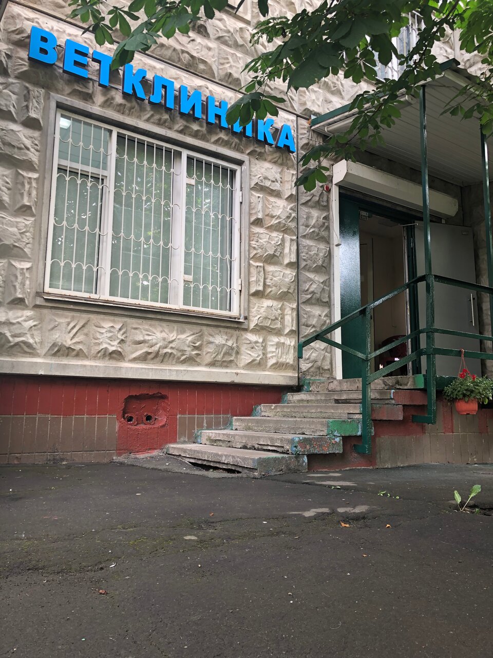 Снежный волк