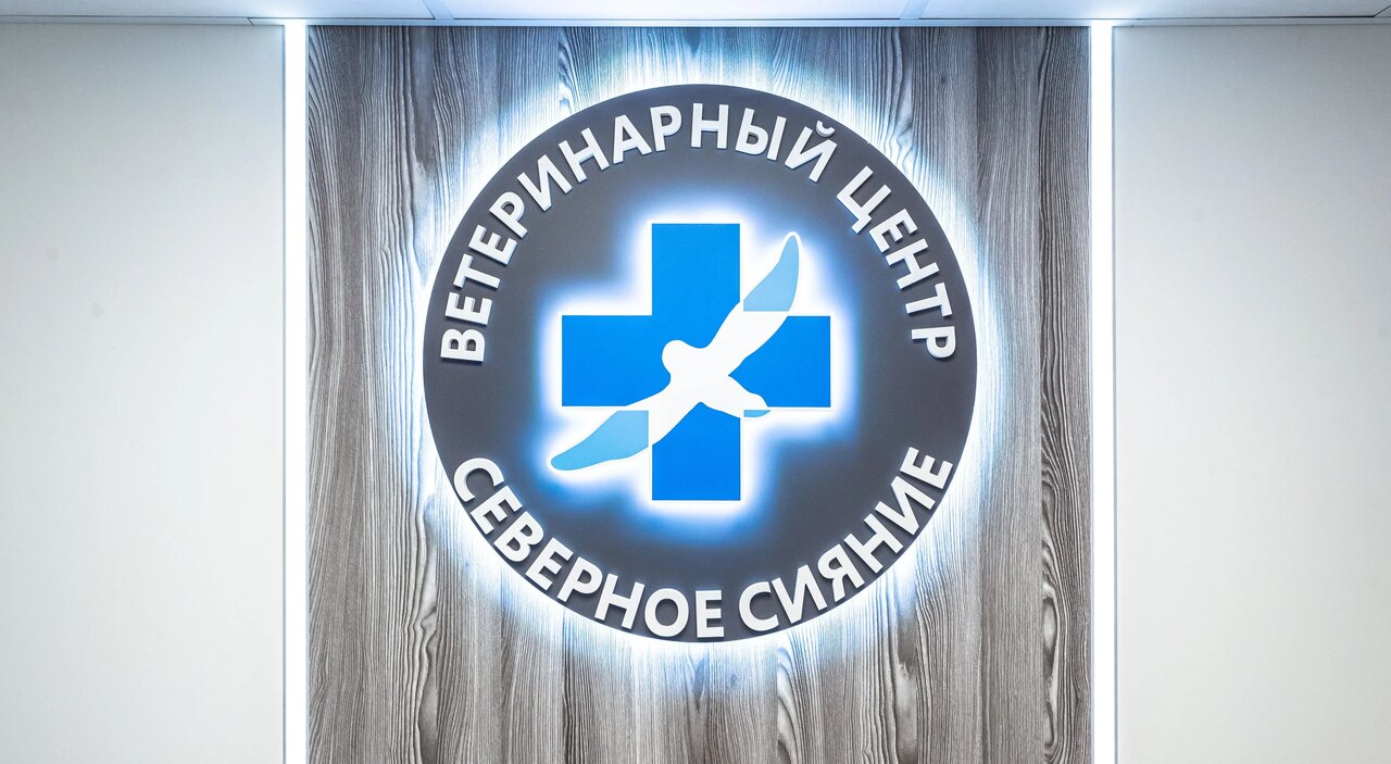 Северное Сияние — фото 3