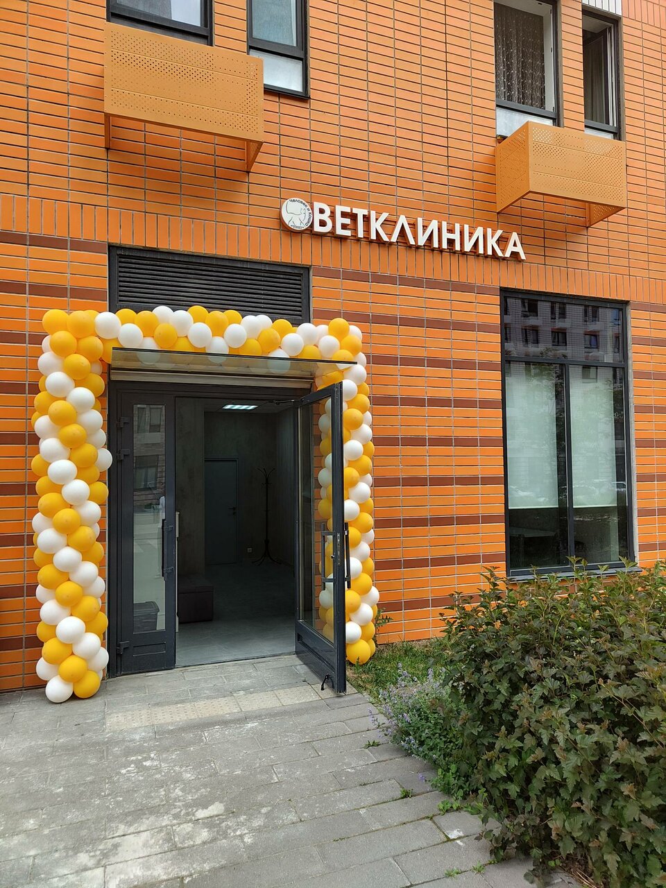 Человек и Кошка