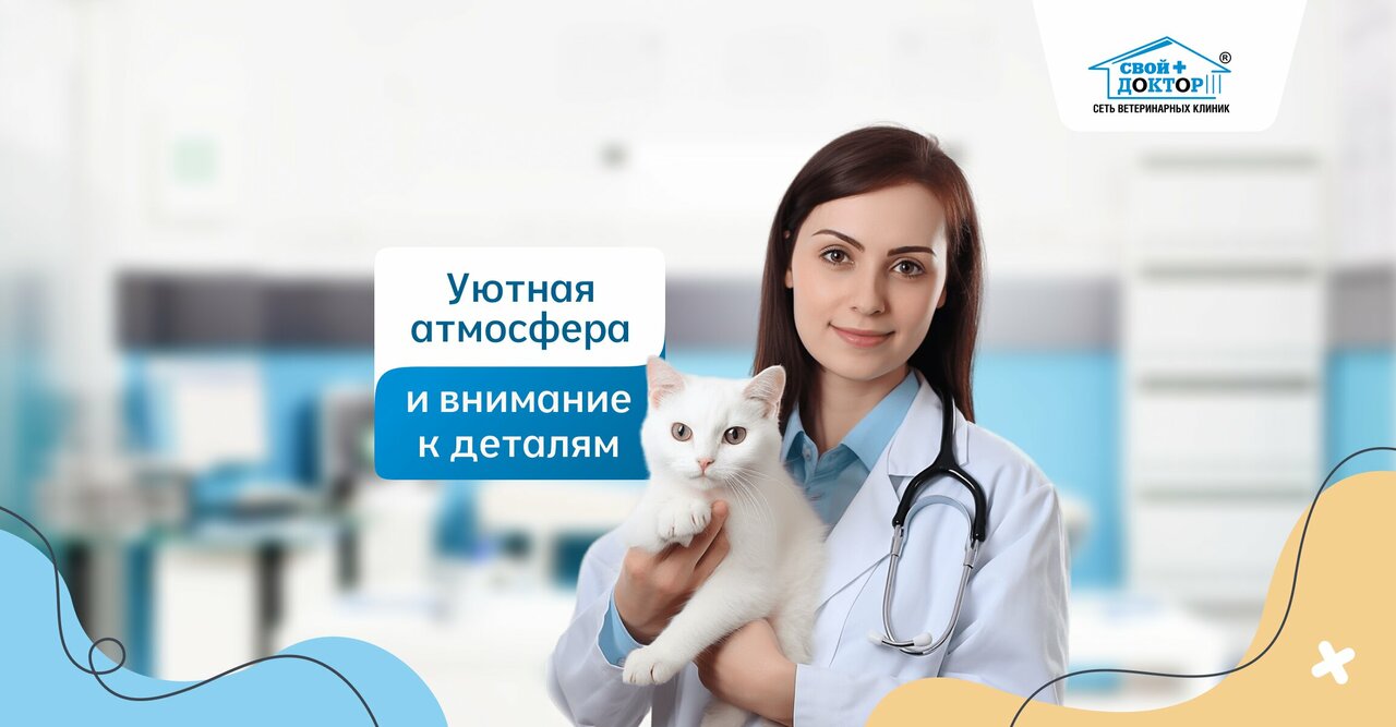 Свой доктор — фото 3