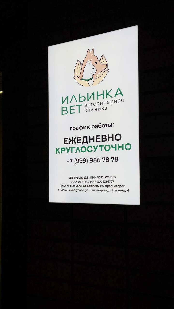 Ильинка Вет