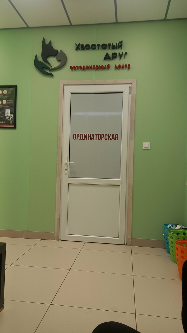Хвостатый друг — фото 3