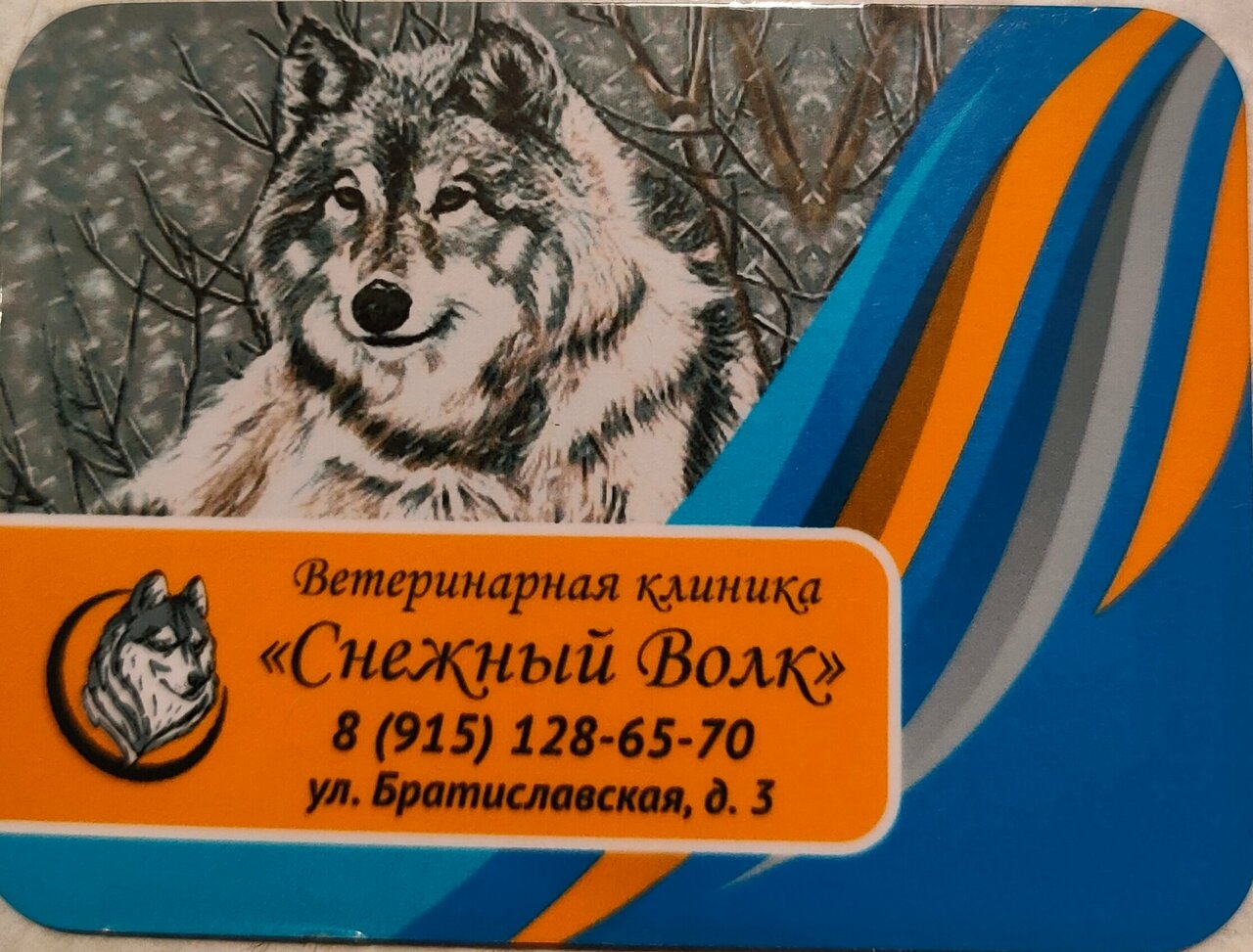 Снежный волк — фото 2