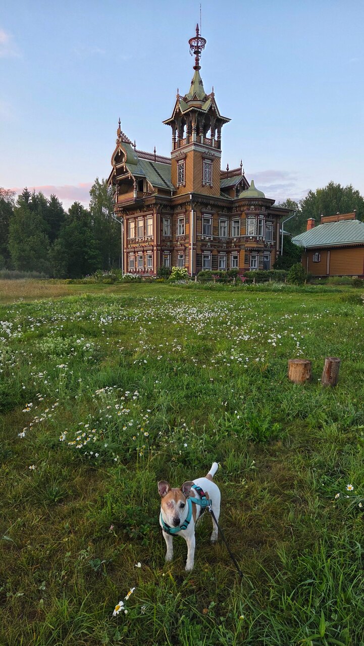 Свой доктор — фото 2