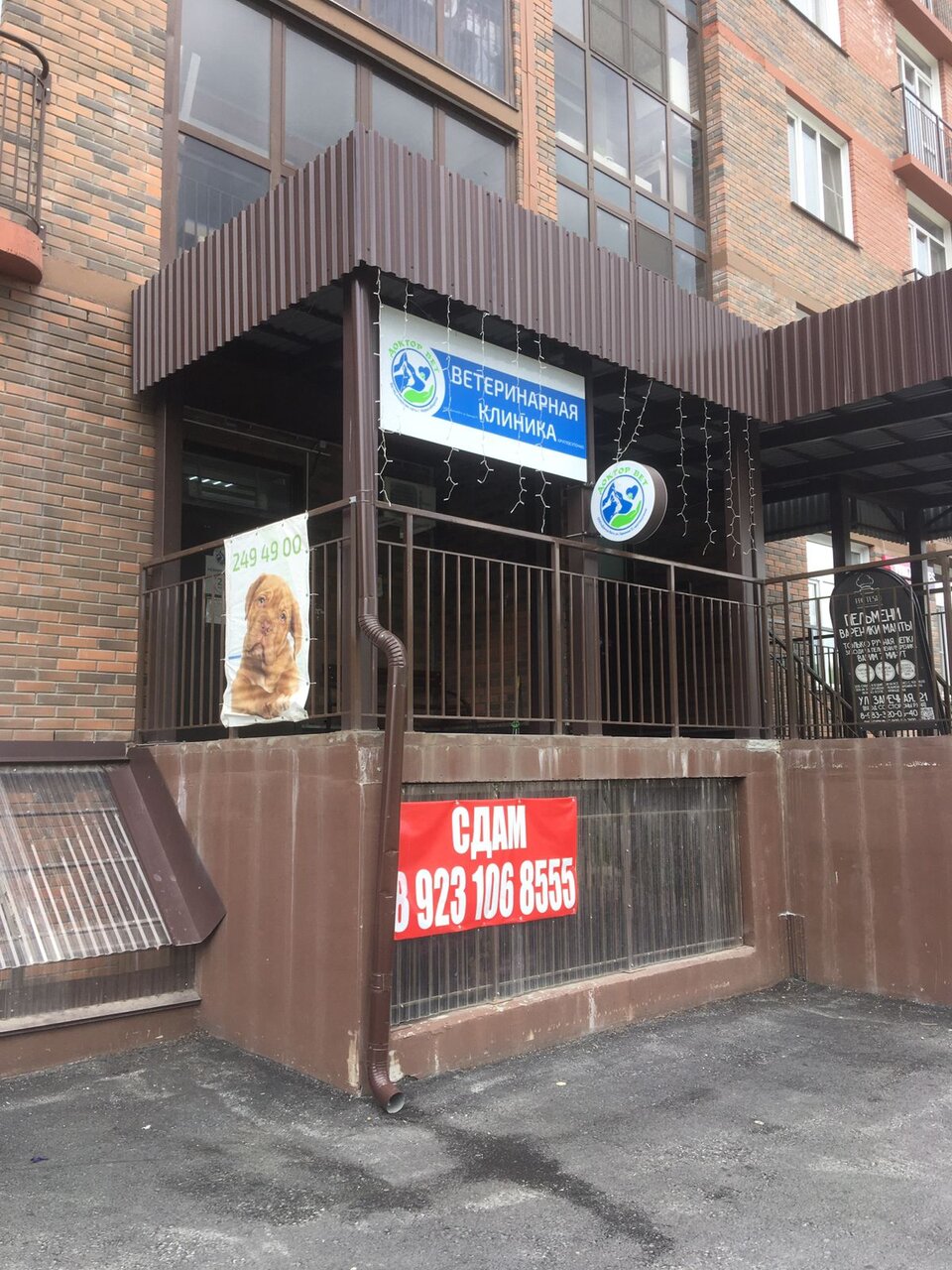 Доктор Вет