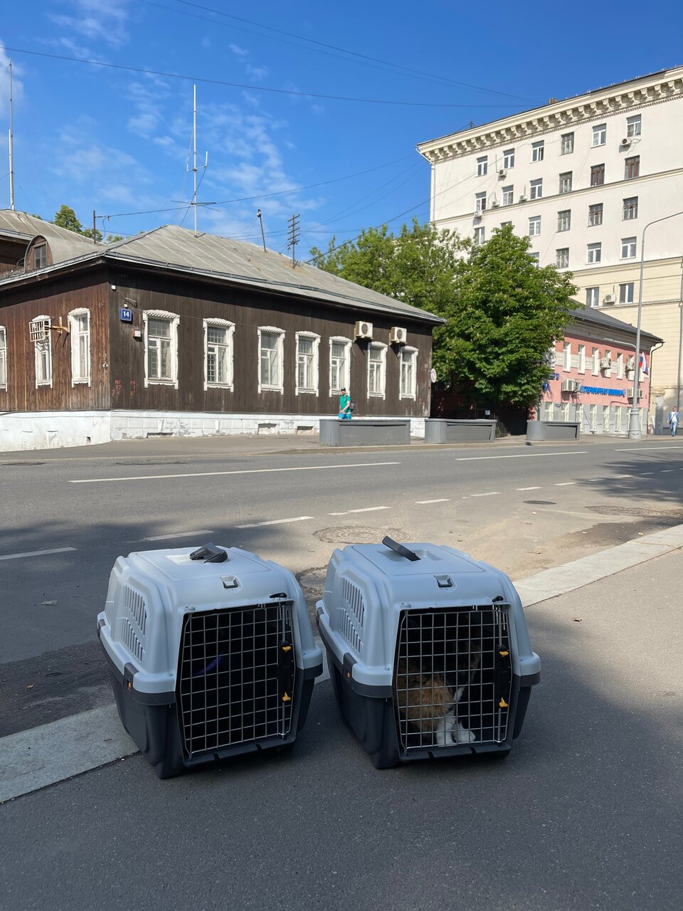 Красносельская ветеринарная лечебница — фото 3